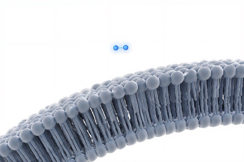 H2 molecule approaching a cell membrane — two hydrogen atoms bonded, luminous blue glow, showing scale against phospholipid bilayer
