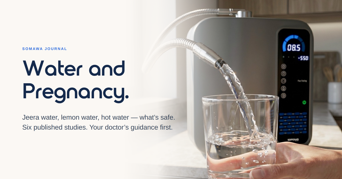 Drinking Water During Pregnancy: What Science Says