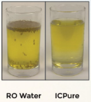 Somawa Jeera Test showing cumin seeds swelling faster in antioxidant alkaline water, proving deeper penetration and hydration benefits