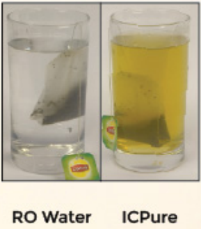 Somawa Green Tea Test showing instant tea infusion in water, demonstrating superior solubility without heat
