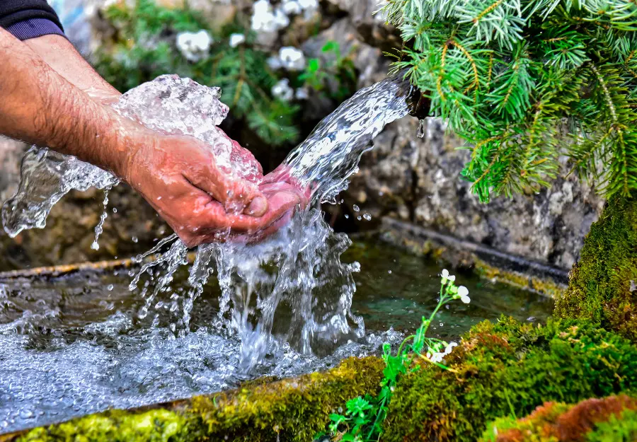 Somawa water system delivering premium hydration for family wellness