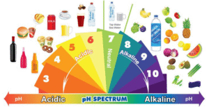 Acidosis vs Alkaline Food
