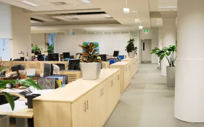 office2 office2